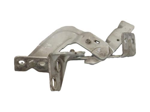 hingedoor-check-strap-renault-kangoo-kc01_-1997-36845613 main image