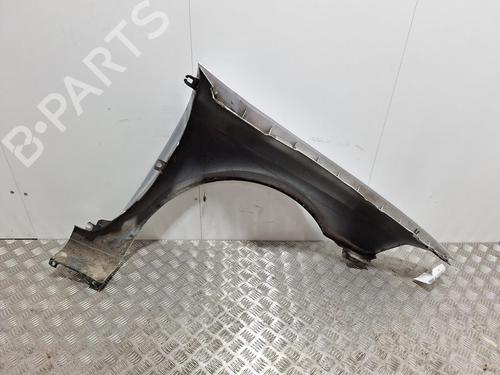 Left front fenders RENAULT LAGUNA II (BG0/1_) 2.0 16V (BG00, BG0K, BG0P, BG0W) | BP29847911C41 