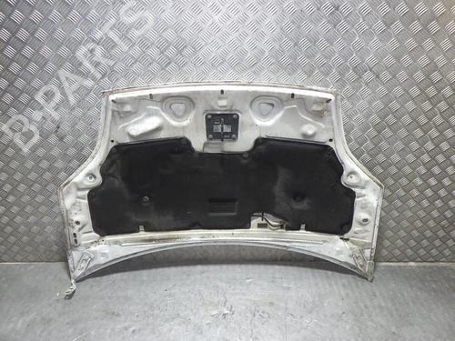 Hood FORD FIESTA V (JH_, JD_) 1.4 TDCi | BP24256683C1 