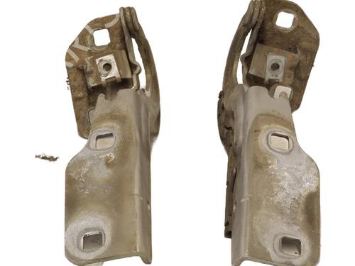 Hinge/Door check strap RENAULT SCÉNIC I MPV (JA0/1_, FA0_) 1.6 (JA00, JA16, JA15, JA19, JA1V, JA2B, JA2C, JA0B,... | BP28192556C146 