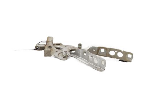 hingedoor-check-strap-citroen-c4-ii-nc_-2009-36056517 main image