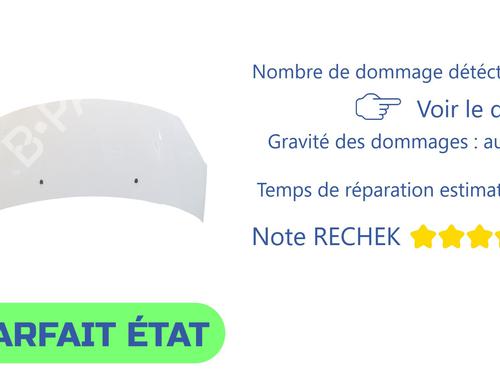 Used Hood Hood CITROËN C3 II (SC_) 1.4 VTi 95 (95 hp) 40222059 40222059