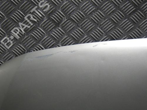 Hood DACIA LOGAN (LS_) 1.5 dCi (LS0K) | BP29161779C1 
