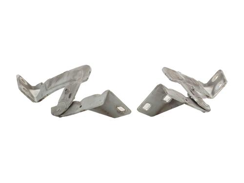 Used Hinge/Door check strap RENAULT KANGOO (KC0/1_) 1.5 dCi (KC08, KC09) (82 hp) 31908496