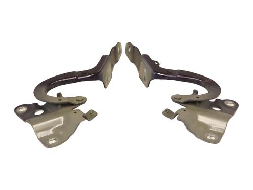 Hinge/Door check strap RENAULT ZOE (BFM_) ZOE | BP28042132C146 - Image 2