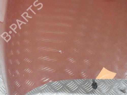 Hood RENAULT MEGANE III Coupe (DZ0/1_) 2.0 TCe (DZ0K) | BP29864487C1