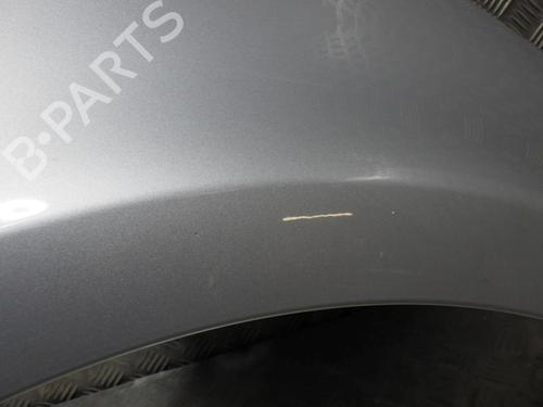Right front fenders RENAULT CLIO III (BR0/1, CR0/1) 1.5 dCi (C/BR0G, C/BR1G) | BP24254500C42 