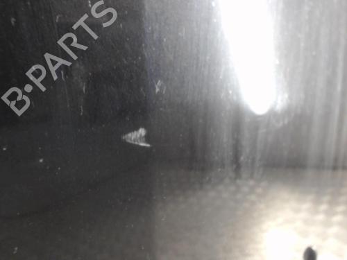 Hood RENAULT CLIO III (BR0/1, CR0/1) 1.6 16V (BR05, BR0B, BR0Y, BR15, BR1J, BR1M, BR1Y, CR0B,... | BP24255836C1 