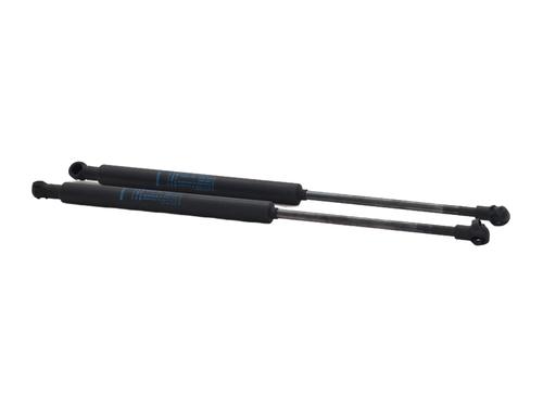Tailgate lift support RENAULT TWINGO II (CN0_) 1.6 RS (CN0N, CN0R, CN0S) | BP31625559C138