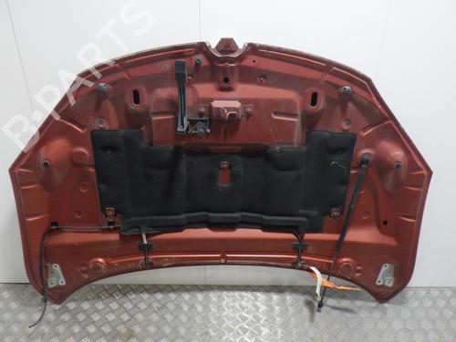 Hood RENAULT MEGANE III Coupe (DZ0/1_) 2.0 TCe (DZ0K) | BP29864487C1