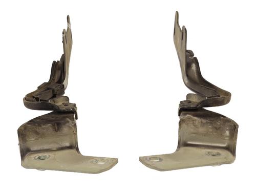 Used Hinge/Door check strap RENAULT CLIO III (BR0/1, CR0/1) 1.5 dCi (C/BR0G, C/BR1G) (68 hp) 28496961