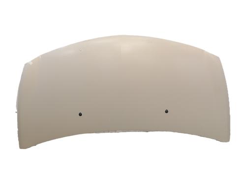 hood-renault-clio-iii-br01-cr01-2005-2006-2007-2008-2009-2010-2011-2012-2013-2014-37747612 main image