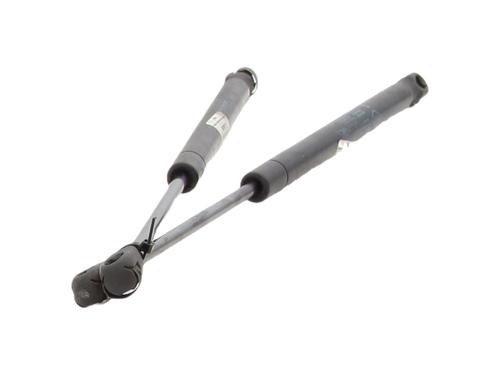 tailgate-lift-support-renault-megane-ii-saloon-lm01_-2003-36441126 main image