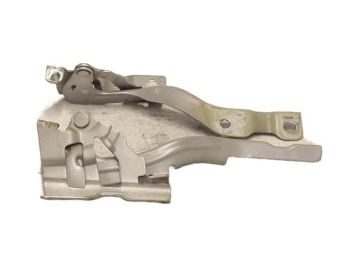 Hinge/Door check strap KIA RIO III (UB) 1.1 CRDi | BP26217180C146 