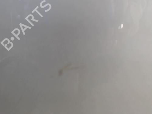 Right front door VOLVO S40 II (544) 2.0 D | BP24258623C3 