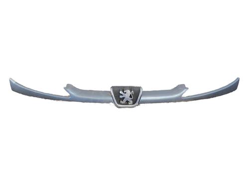 Grill Grill PEUGEOT 206 Hatchback (2A/C) [1998-2012] 34500959 34500959