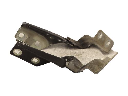 Hinge/Door check strap RENAULT MEGANE II (BM0/1_, CM0/1_) 1.5 dCi (BM1E, CM1E) | BP27359789C146 