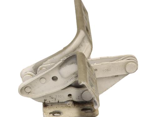 Hinge/Door check strap RENAULT MASTER II Van (FD) 2.5 dCi (FD02) | BP28953156C146 