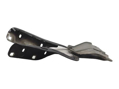 Hinge/Door check strap RENAULT TWINGO II (CN0_) 1.5 dCi (CN0E) | BP31833174C146