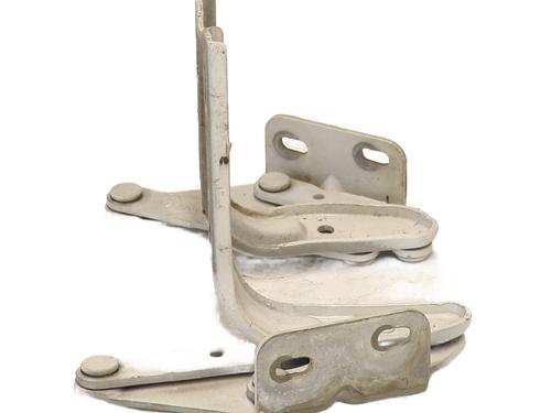 Hinge/Door check strap RENAULT TRUCKS MASCOTT Van 120.35 (A02100003) | BP27587706C146