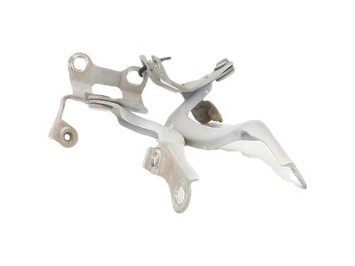 hingedoor-check-strap-citroen-c1-pm_-pn_-2005-2006-2007-2008-2009-2010-2011-2012-2013-2014-36441064 main image
