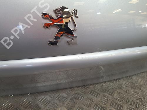 Bakluke CC/Kombi-Kupé PEUGEOT 206 Hatchback (2A/C) 1.4 i | BP30128468C6