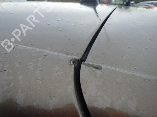 Rear parcel shelf RENAULT SCÉNIC III (JZ0/1_) 1.9 dCi (JZ0J, JZ1J, JZ1K, JZ1S) | BP24254243C85 