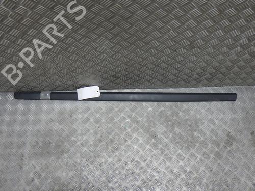 Door moulding trim RENAULT CLIO III (BR0/1, CR0/1) 1.5 dCi (C/BR0G, C/BR1G) | BP29253756C150 