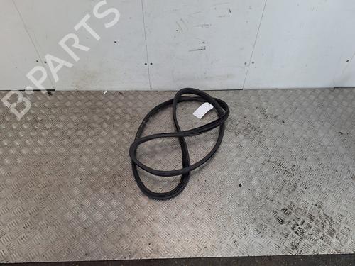 Used Rubber door seal RENAULT SCÉNIC II (JM0/1_) 1.9 dCi (JM14) (131 hp) 31597229