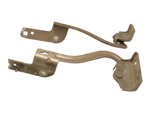 hingedoor-check-strap-renault-modus-grand-modus-fjp0_-2004-28385563 main image