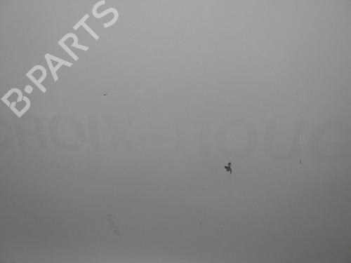 Right front door NISSAN NOTE (E11, NE11) 1.5 dCi | BP24257792C3 - Image 12