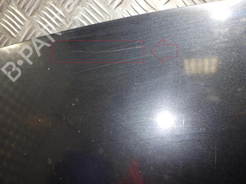 Hood RENAULT GRAND SCÉNIC II (JM0/1_) 1.9 dCi (JM14) | BP24259836C1 