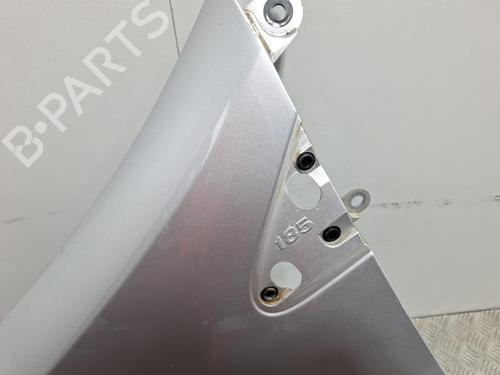 Left front fenders RENAULT CLIO III (BR0/1, CR0/1) 1.5 dCi (BR17, CR17) | BP29847922C41