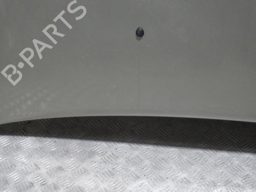 Hood DACIA LOGAN (LS_) 1.5 dCi (LS0K) | BP29161779C1 