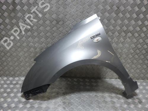 Left front fenders RENAULT SCÉNIC III (JZ0/1_) 1.5 dCi | BP24254597C41 