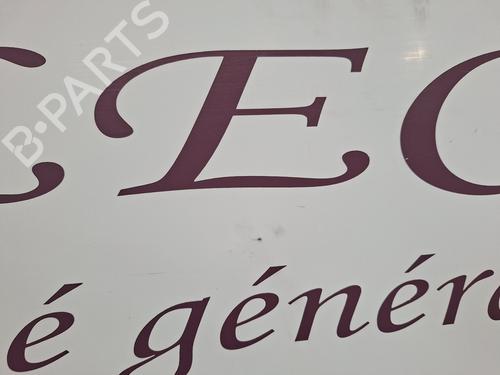 Right slide door RENAULT TRAFIC II Bus (JL) 2.0 dCi 90 (JL00, JL01, JL0H, JL0M, JL0P, JL0S) | BP30153917C75 