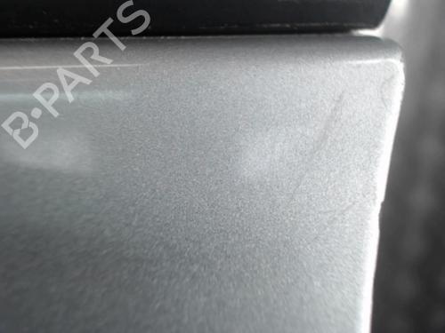 Left front door RENAULT MEGANE II (BM0/1_, CM0/1_) 1.9 dCi (BM0G, CM0G) | BP24261612C2 