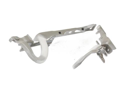 Hinge/Door check strap PEUGEOT 208 I (CA_, CC_) 1.6 HDi | BP29460817C146
