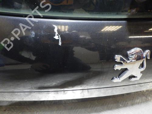 Used Tailgate Tailgate PEUGEOT 207 (WA_, WC_) 1.6 HDi (90 hp) 24260992 24260992