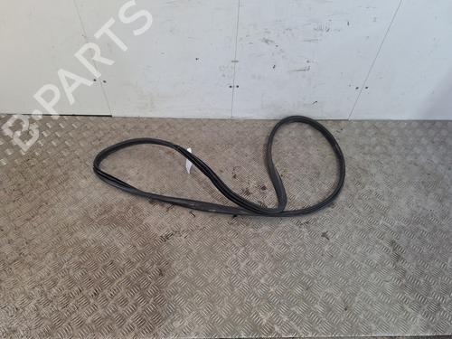 rubber-door-seal-renault-megane-iii-hatchback-bz01_-b3_-2008-31806219 main image