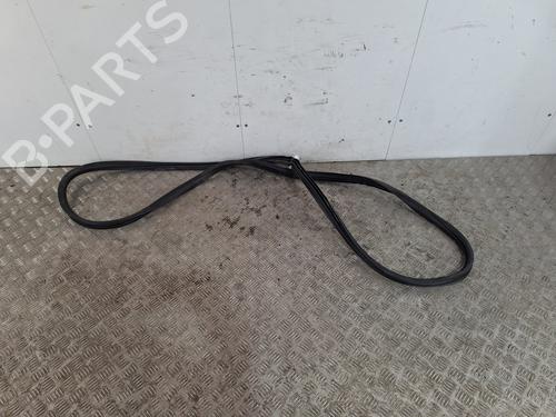 Gummiliste CITROËN BERLINGO (ER_, EC_) 1.5 BlueHDi 130 (ECYHZJ, ECYHZR) (131 hp) 31833201