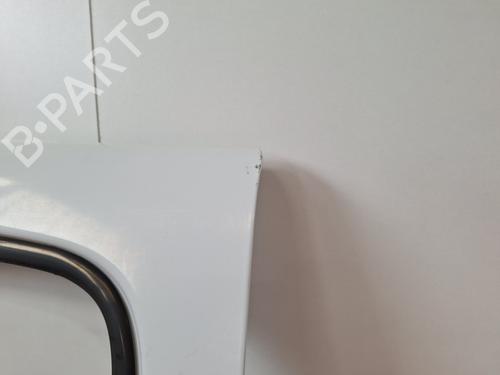 Left front door RENAULT TRAFIC II Bus (JL) 2.0 dCi 90 (JL00, JL01, JL0H, JL0M, JL0P, JL0S) | BP30177572C2