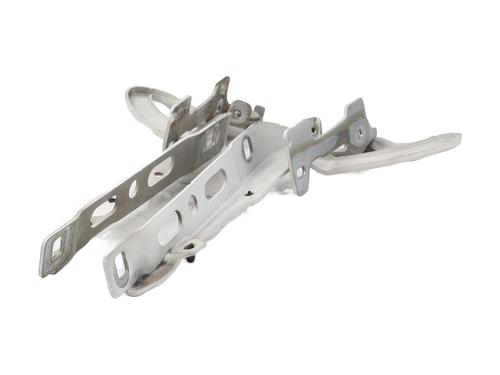 Hinge/Door check strap PEUGEOT 208 I (CA_, CC_) 1.6 HDi | BP29460817C146