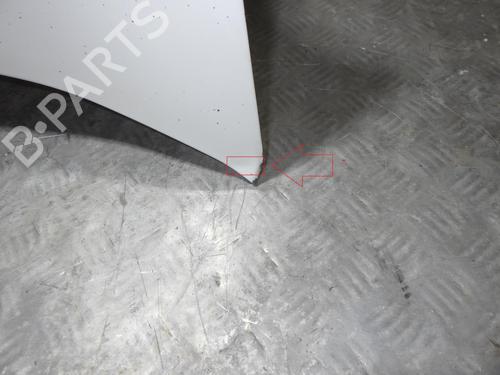 Hood FIAT DOBLO Cargo (263_) 1.6 D Multijet (263WXD1B, 263WXR1B, 263WXX1B, 263ZXD1B,... | BP24256930C1 