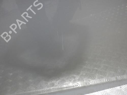 Right front door RENAULT ZOE (BFM_) ZOE | BP24255078C3