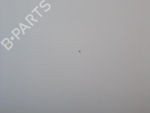 Used Left slide door NISSAN NV200 Van 1.5 dCi 85 (M20, M20N, M20M) (86 hp) 24255549