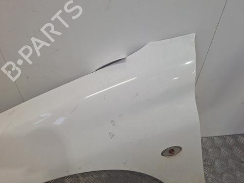 Left front fenders PEUGEOT 206 Hatchback (2A/C) 1.4 HDi eco 70 | BP30109935C41 