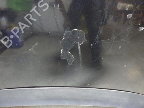 Hood SEAT ALTEA (5P1) 2.0 TDI 16V | BP24254897C1