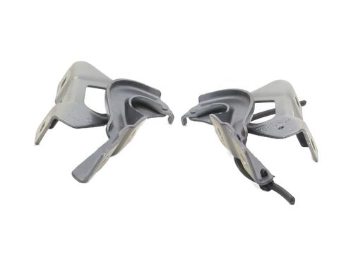 hingedoor-check-strap-renault-clio-v-b7_-2019-33200908 main image