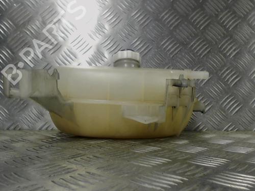Expansion tank RENAULT MASTER II Van (FD) 2.5 dCi | BP24255429C120 